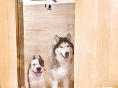 -Double Rui宠物酒店