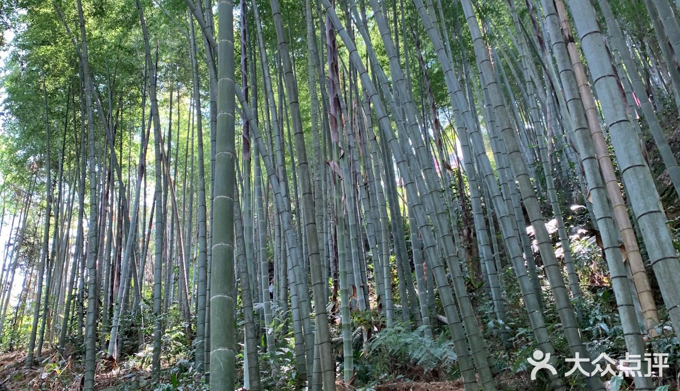 一座山一片城