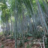 一座山一片城