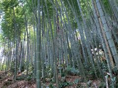 -南漈山