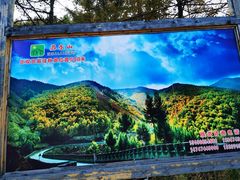 -苏木山森林公园