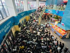 -海合安武汉极地海洋公园