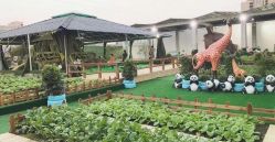 -可可天空农场(中大店)