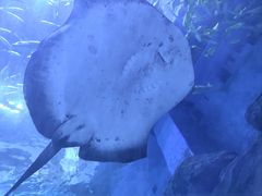 -华夏文旅西安度假区