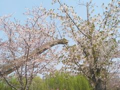 -自然谷恐龙园