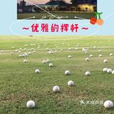 ～优雅的挥杆～️迷上高尔夫  禁足辣么久