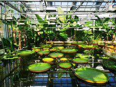 -国家植物园南园