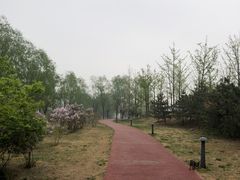 -马家湾湿地公园