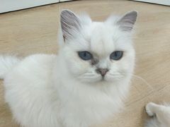 -1013 PET SHOP 宠物商店(近铁城市广场店)