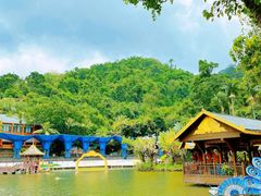 -西双版纳原始森林公园