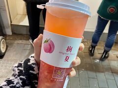 -树夏(建设路店)