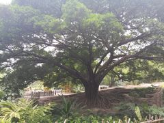 -晓港公园