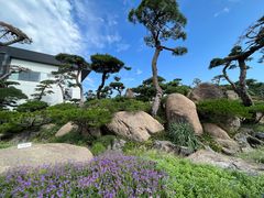 -罗红摄影艺术馆