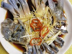 -煲来饱去冷水鱼