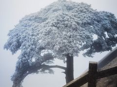 -天柱山风景区
