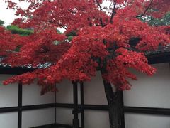 -京都御所