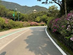 -梧桐山风景名胜区