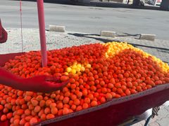 -阿布拉的馕(西北路店)