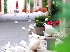 -华谊兄弟（长沙）电影小镇