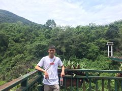 -西双版纳原始森林公园
