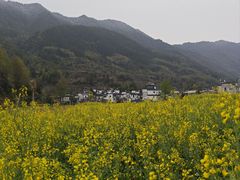 -特色口水鱼馆