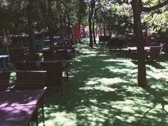 -尚庄度假村·庭台树下·户外烧烤·团建CS·轰趴营地(上庄水库店)