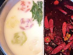 -湊湊火锅·茶憩(新中关购物中心店)