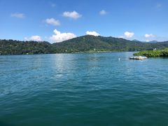 -金盆阿嬷香菇茶叶蛋(玄光店)