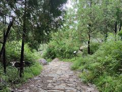 -阳台山自然风景区