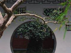 -上海醉白池公园