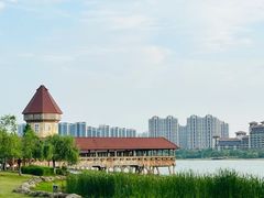 -九龙湖公园