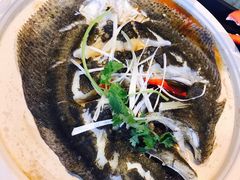 清蒸多宝鱼-盒马X会员店(王府井奥莱UP TOWN店)