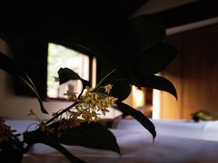-法云安缦酒店