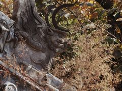 -潭柘寺景区