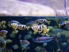 -成都浩海立方海洋公园