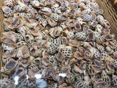 -徐记海鲜(南油永新汇店)