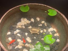 -曲水兰亭(北京四惠店)