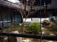 -碧丽宫大酒店(召稼楼店)