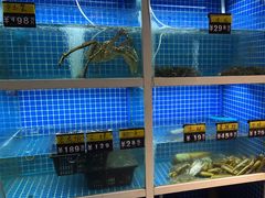 -金龙·打边炉(南京西路店)