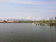 -上海长兴岛郊野公园