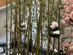 -汤森悠生活文化汤(江宁万达店)