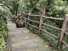 -峨眉山风景名胜区