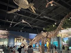 -国家自然博物馆