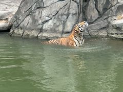 -宁波野生动物园