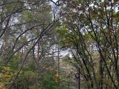 -帽儿山国家森林公园