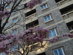 -辽宁大学(崇山校区)