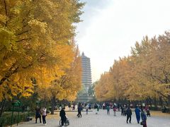 -玲珑塔公园