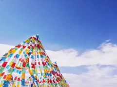 -清真老马家国华牛奶鸡蛋醪糟(正宁路店)