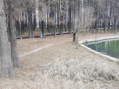 -汉水公园