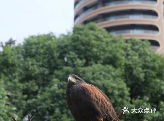 这家楼下就是动物园的酒店大人小孩都喜欢，房间里就可以